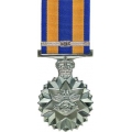 MEDC08 Defence Force Service Medal